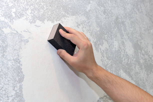  Maple Heights Lake Desire, WA Mold Removal Pros