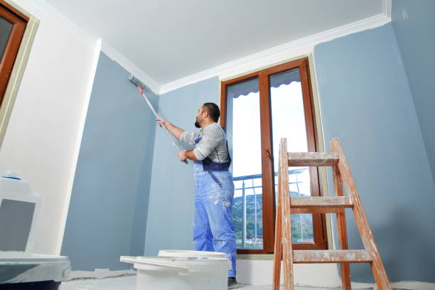 Best Attic Mold Removal  in Maple Heights Lake Desire, WA