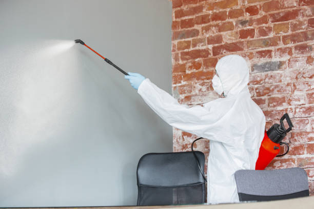 Best HVAC Mold Inspection and Cleaning  in Maple Heights Lake Desire, WA