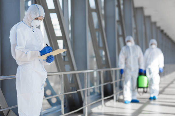 Best Emergency Mold Remediation  in Maple Heights Lake Desire, WA