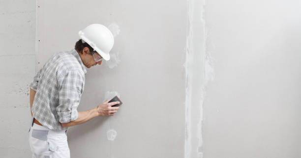 Best Post-Construction Mold Inspection  in Maple Heights Lake Desire, WA