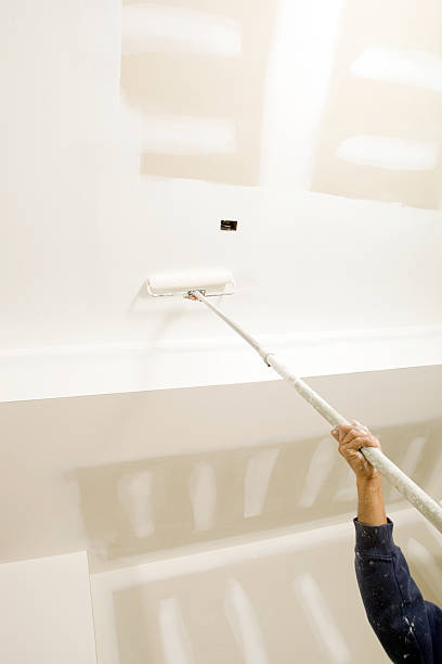 Best Mold Odor Removal Services  in Maple Heights Lake Desire, WA