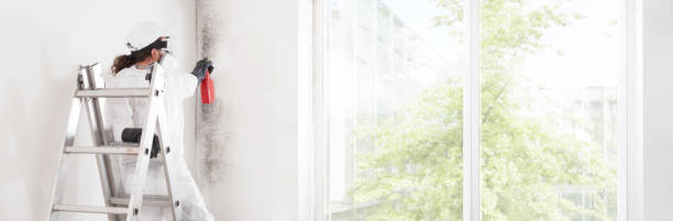 Best Biohazard Mold Removal  in Maple Heights Lake Desire, WA