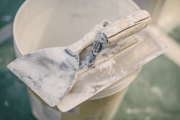 Best Black Mold Removal  in Maple Heights Lake Desire, WA